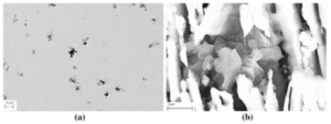 Irregular graphite aggregates in the < 0.010% Mg 4 min sample: (a) optical micrograph; (b) SEM micrograph.